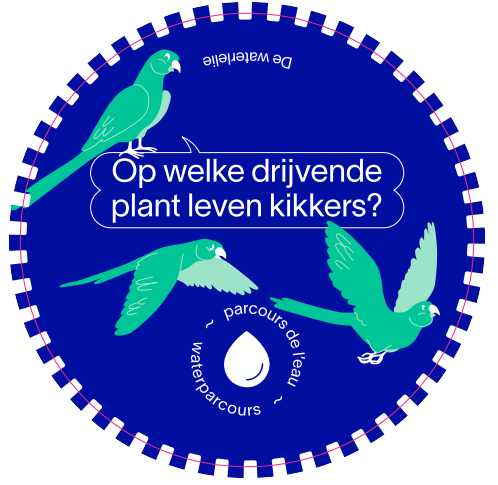 Blauwe parcours als thema water