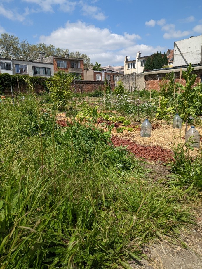 Gemeenschappelijke compost en volkstuintjes